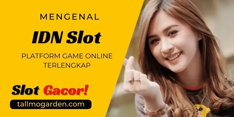 IDN Slot: Platform Terkemuka dengan Beragam Game Online